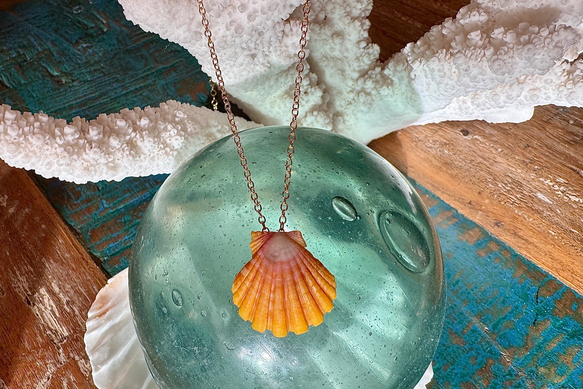 FLOATING SUNRISE SHELL