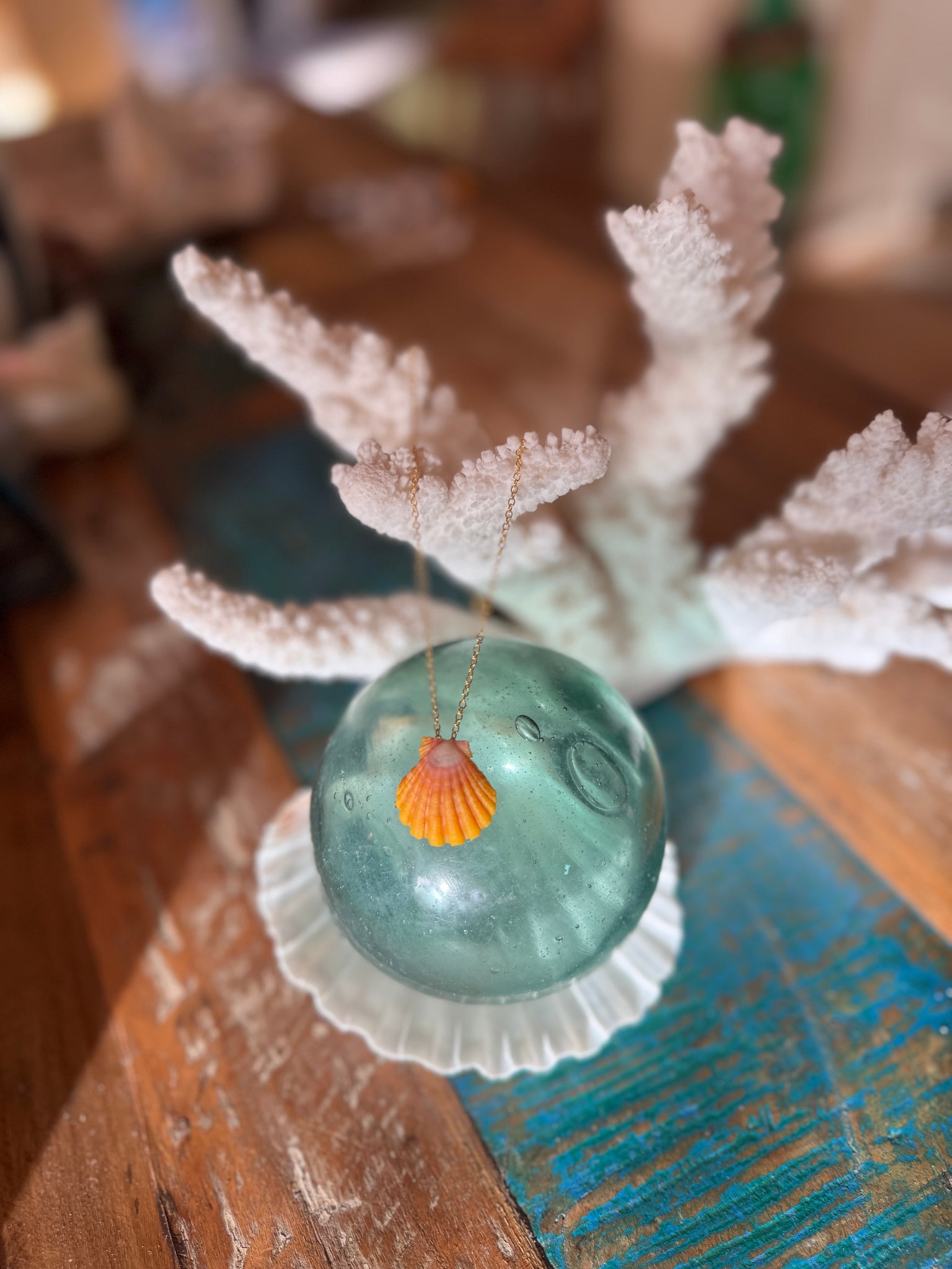 FLOATING SUNRISE SHELL