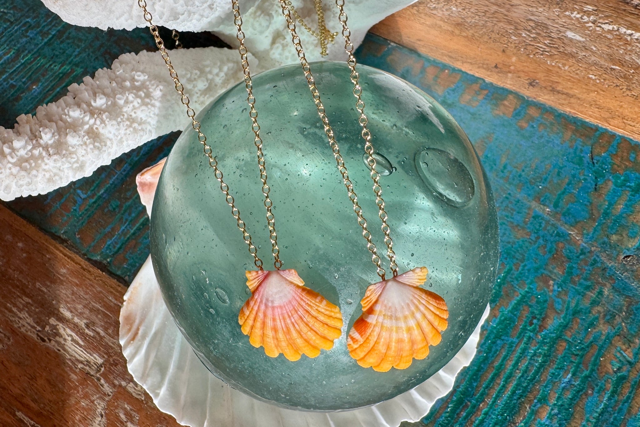 FLOATING SUNRISE SHELL