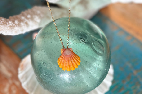 FLOATING SUNRISE SHELL